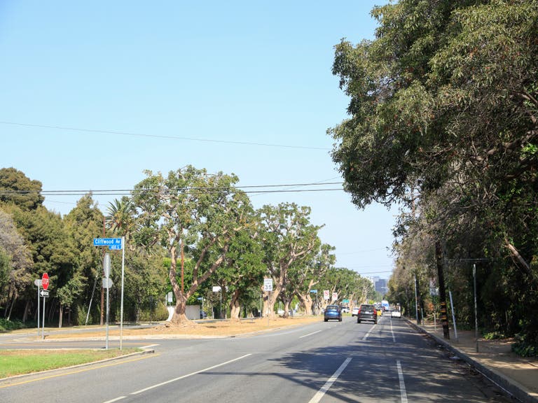 San Vicente Boulevard in Brentwood