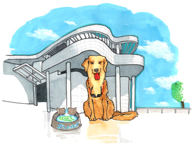 Golden Retriever at the Getty Center in Brentwood | Illustration by Max Kornell