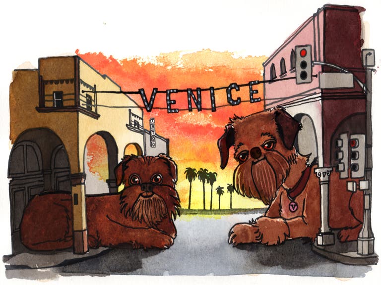 Brussels Griffon at the Venice Sign | Illustration by Max Kornell