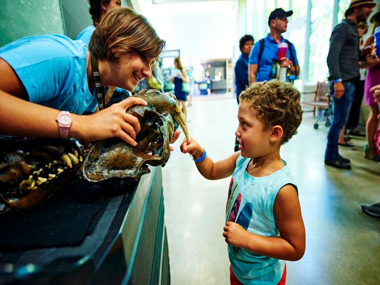 Young visitor at the La Brea Tar Pits Museum